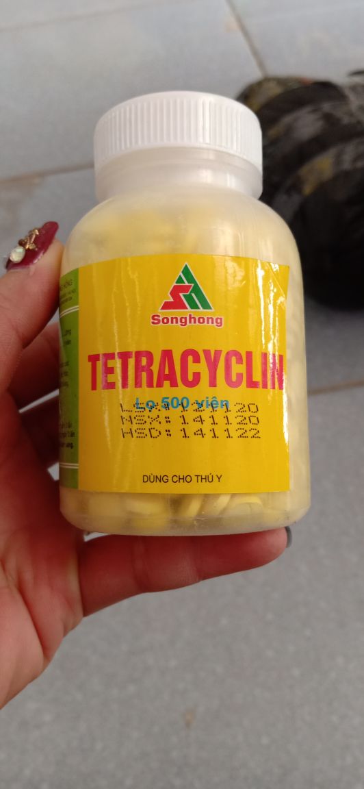 500 Viên Tetracyclin - 379