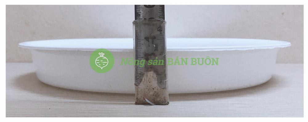 3 Khay (Đĩa) Lót Đế Chậu D230 Binh Thuan Plastics - Màu Trắng