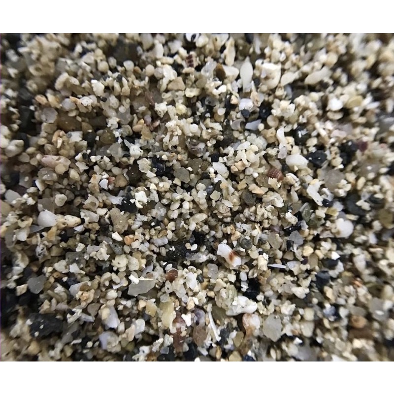 Cát Muối Tiêu Trải Nền, Trang Trí Bể Cá 1kg