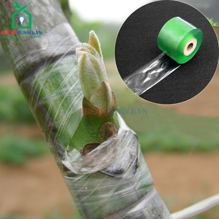 Băng ghép cây cuộn xanh 8cm