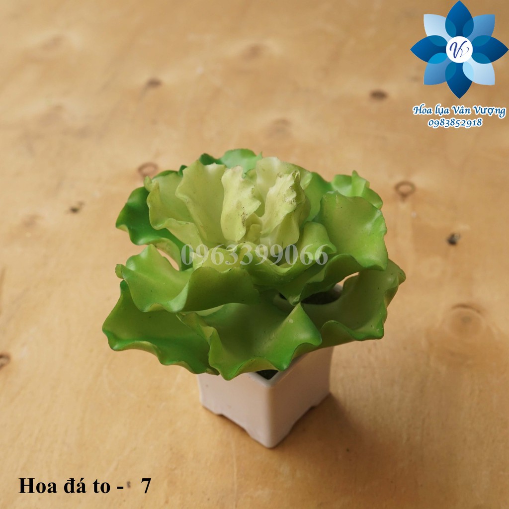 Hoa Đá Giả Hoa Sen Đá Cao Su, Nhựa