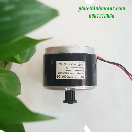 Motor 24V300W