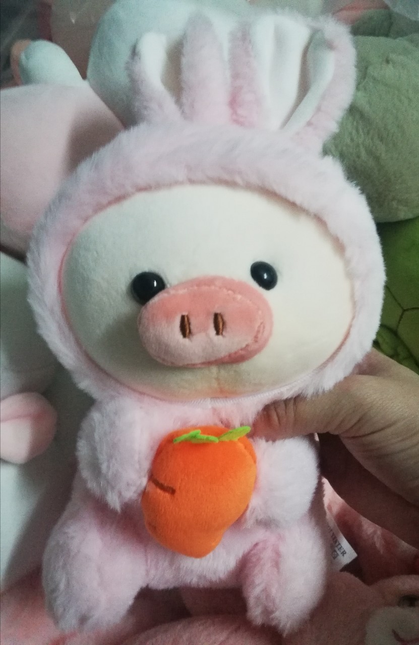 Gấu bông Heo ôm cà rốt