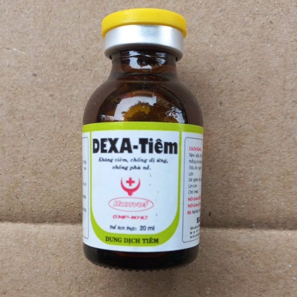 DEXA-TIÊM 20ML