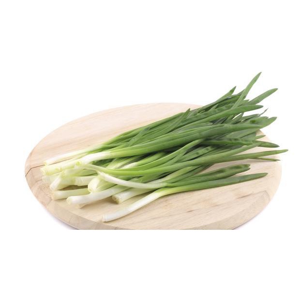 [HCM]Hạt giống hành hương - hành lá