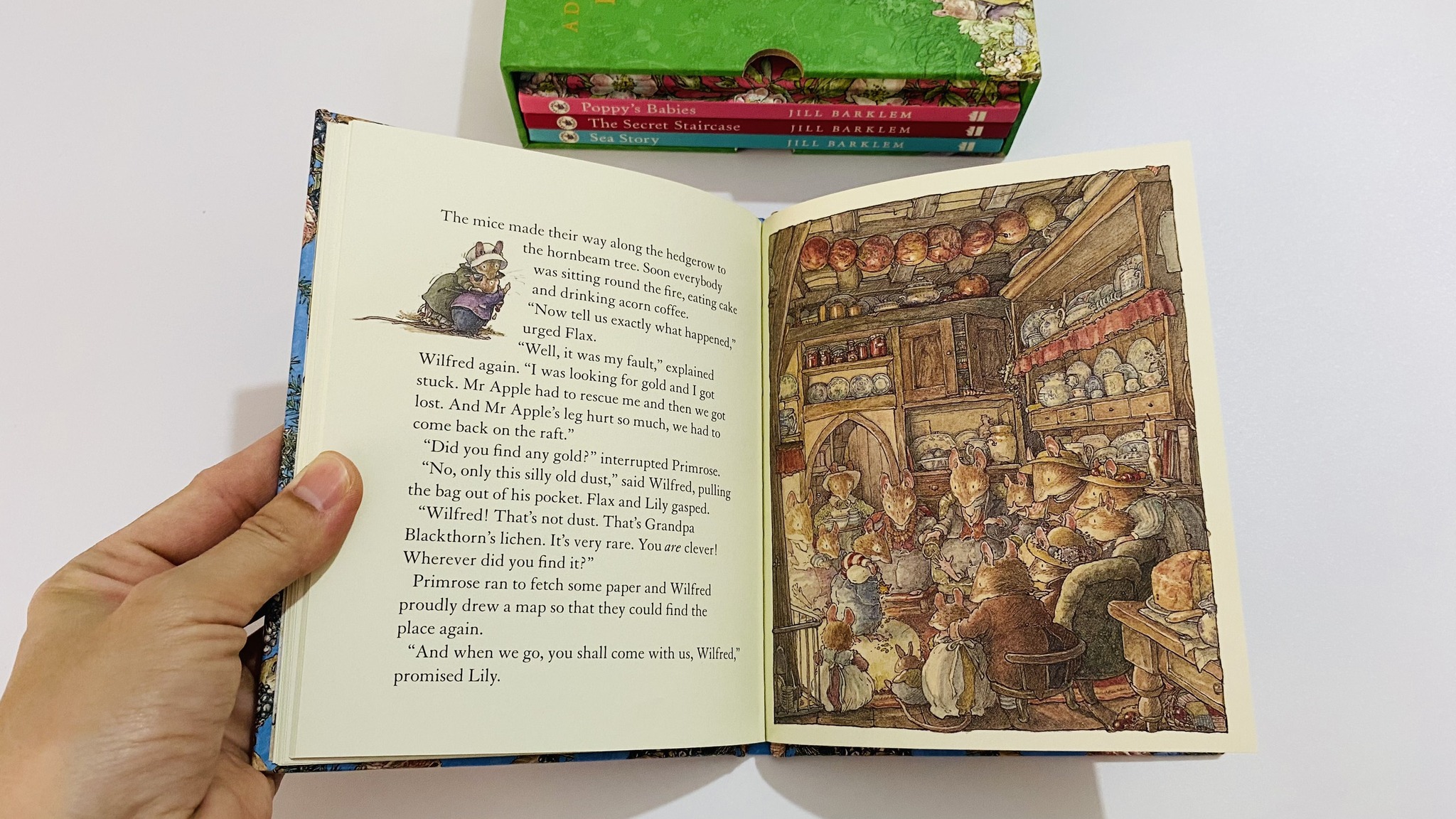 Adventures in Brambly Hedge