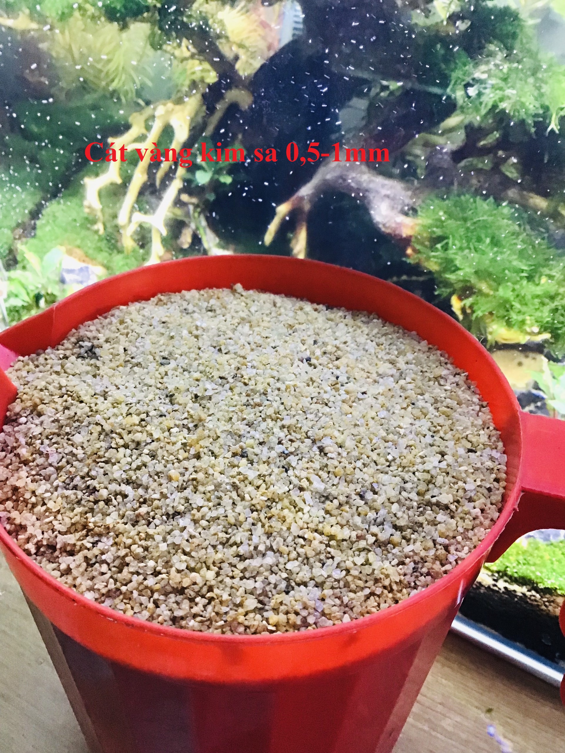 Cát Nắng Vàng- Cát trắng- Cát trắng thạch anh - Cát muối tiêu -Trải Nền | Cát Trang Trí Bể Cá Cảnh, Thuỷ Sinh