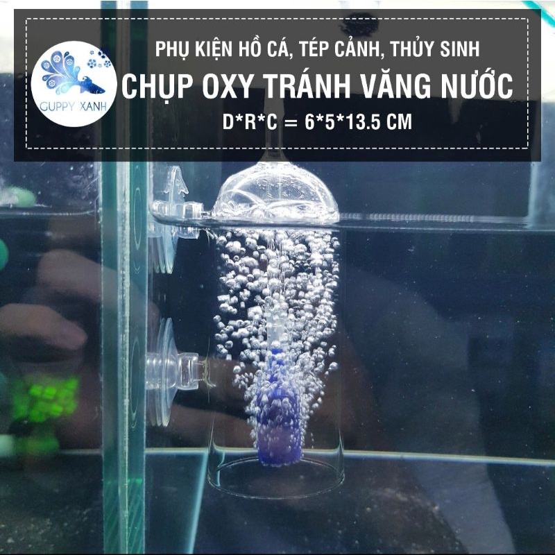 Cốc sủi oxy thuỷ tinh chống văng nước