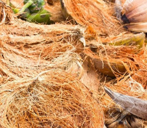 (Xanhshop22) SƠ DỪA MIẾNG DÙNG TRỒNG LAN 100G