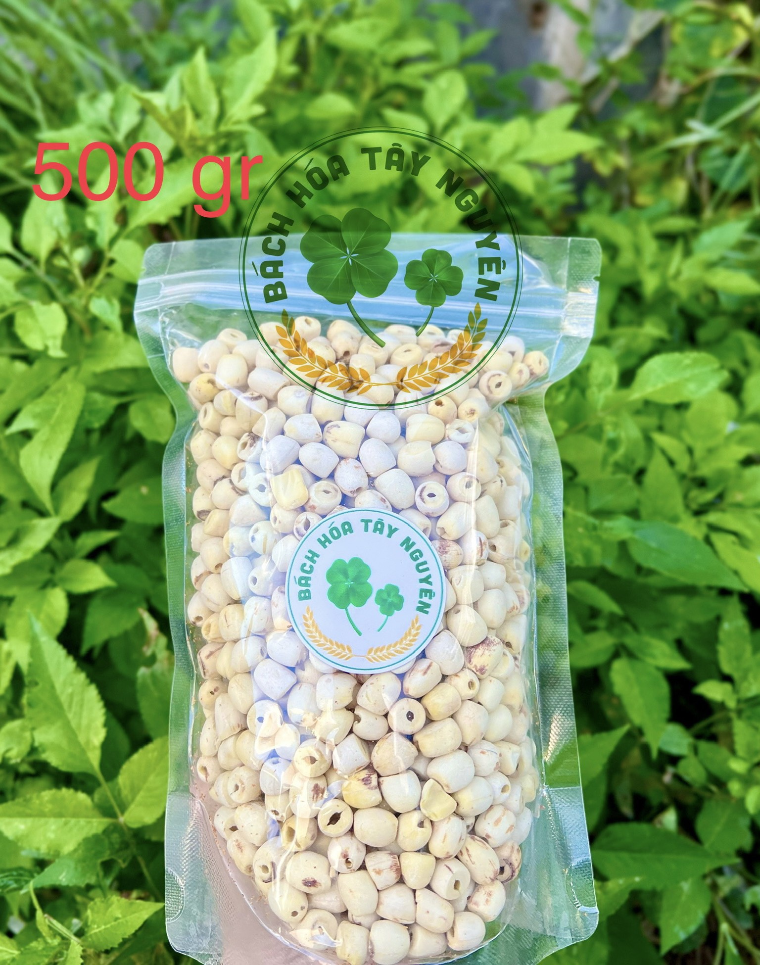 Hạt Sen Khô Đồng Tháp 500gr Sấy Khô Đặc Biệt