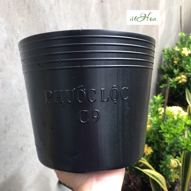 Chậu Nhựa Đen C9 Bít Lỗ (22X17Cm) Trồng Sen, Tách Form Cá Betta