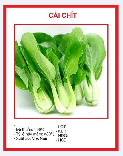 Combo 5 gói hạt giống rau cải ( Cải bó xôi + cải ngọt + cải xanh + cải chíp + cải ngòng )