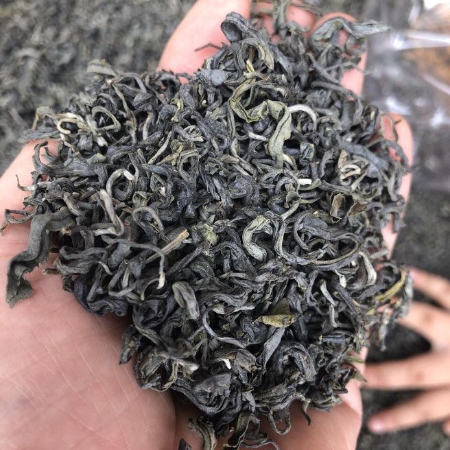 Sỉ toàn quốc 500g chè shan tuyết - loại đặc biệt