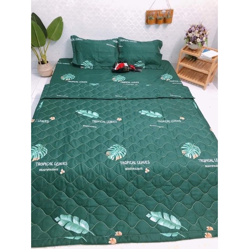 Chăn Thu Hè Polycotton Nhiều Mẫu Đẹp