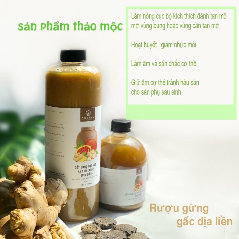 Cốt Gừng hạt gấc địa liền hạ thổ Cỏ Lành 1000ml