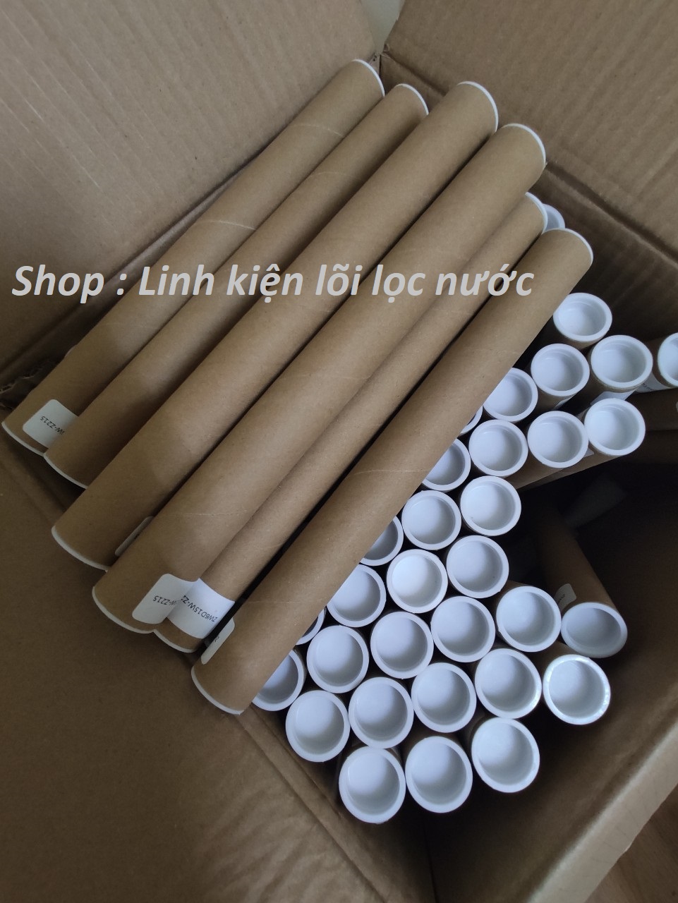 Combo bóng đèn UV 6W cho máy lọc nước (loại 4 chân)