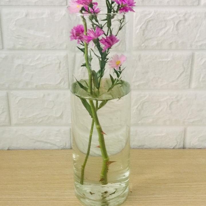 Chậu thủy tinh cắm hoa 10x30cm