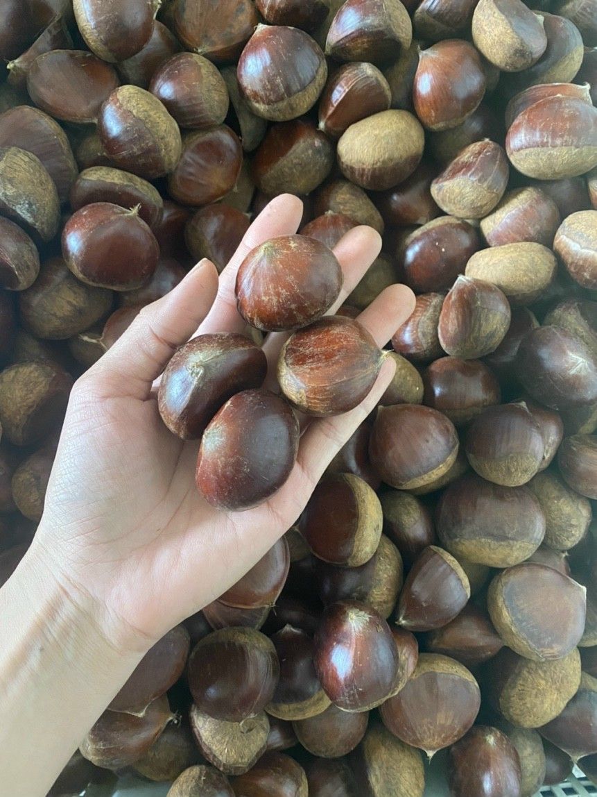 Hạt dẻ Cao Bằng 1kg