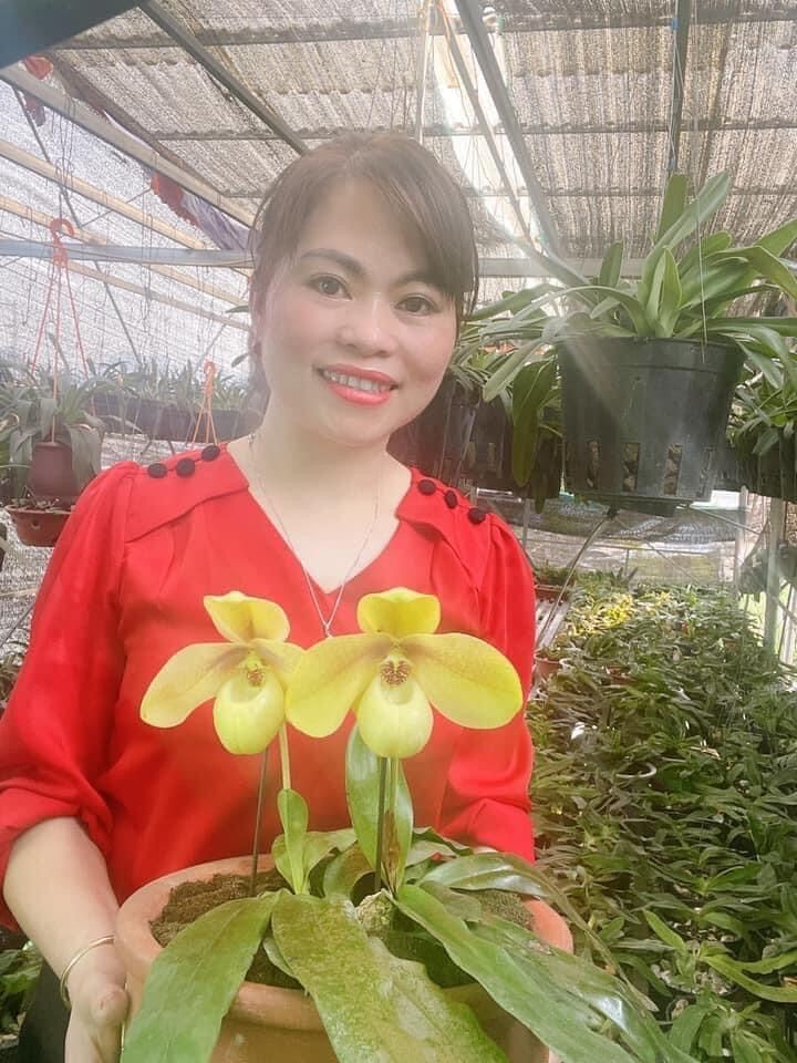 Hoa Lan đột biến hài hằng(1 cây) qq