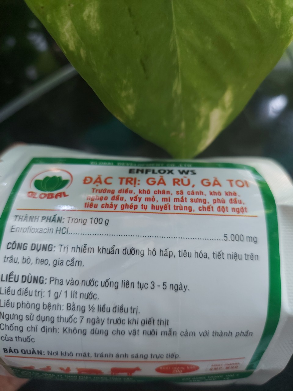 AN GUM (HỦ 100G)