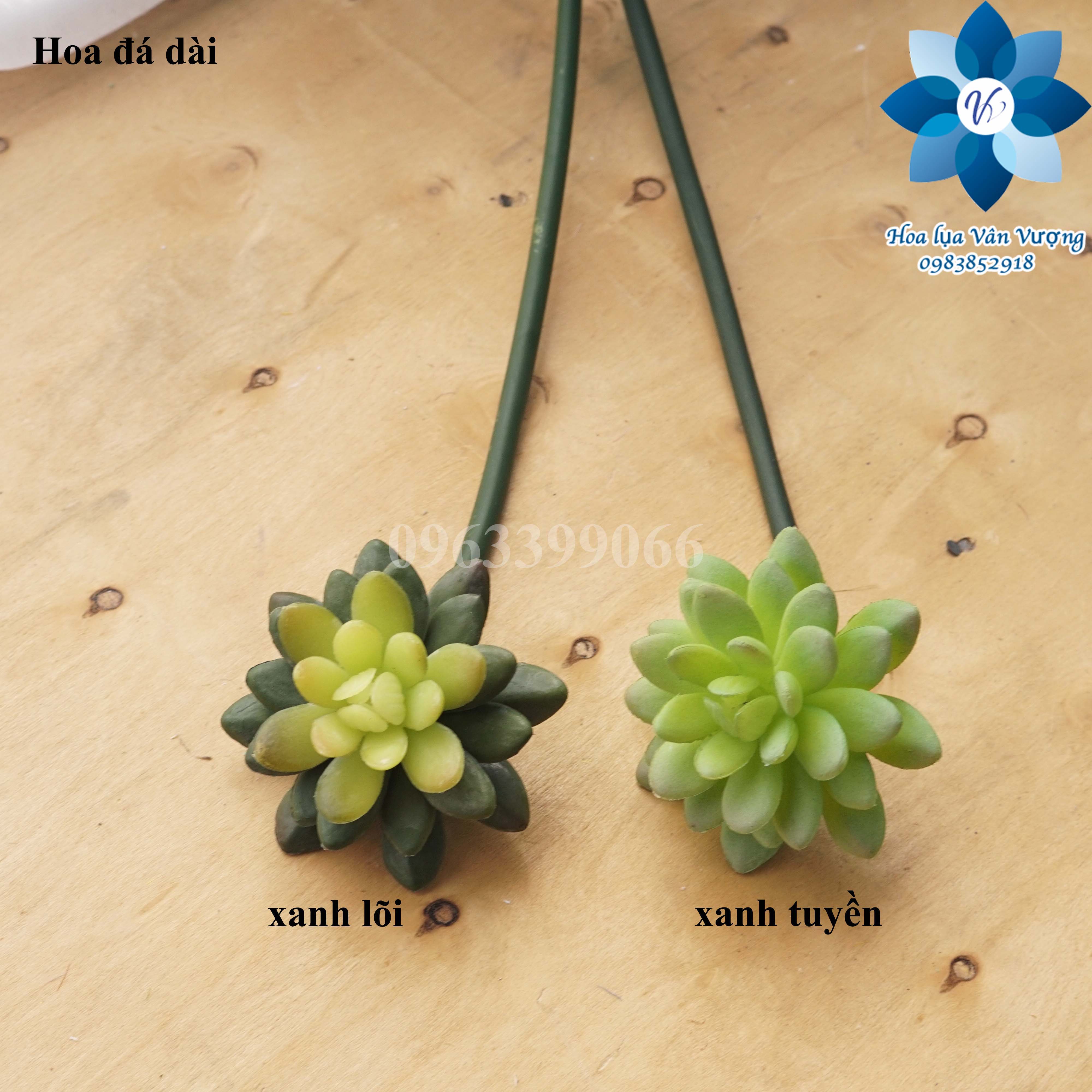 Hoa Đá Giả, Hoa Sen Đá Giả Cành Dài