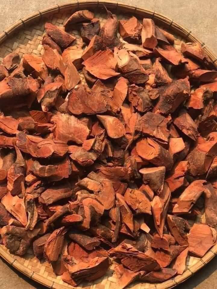 [Hàng mới về] Rễ cây mú từn sấy khô 1kg - Thảo Dược Tấn Phát