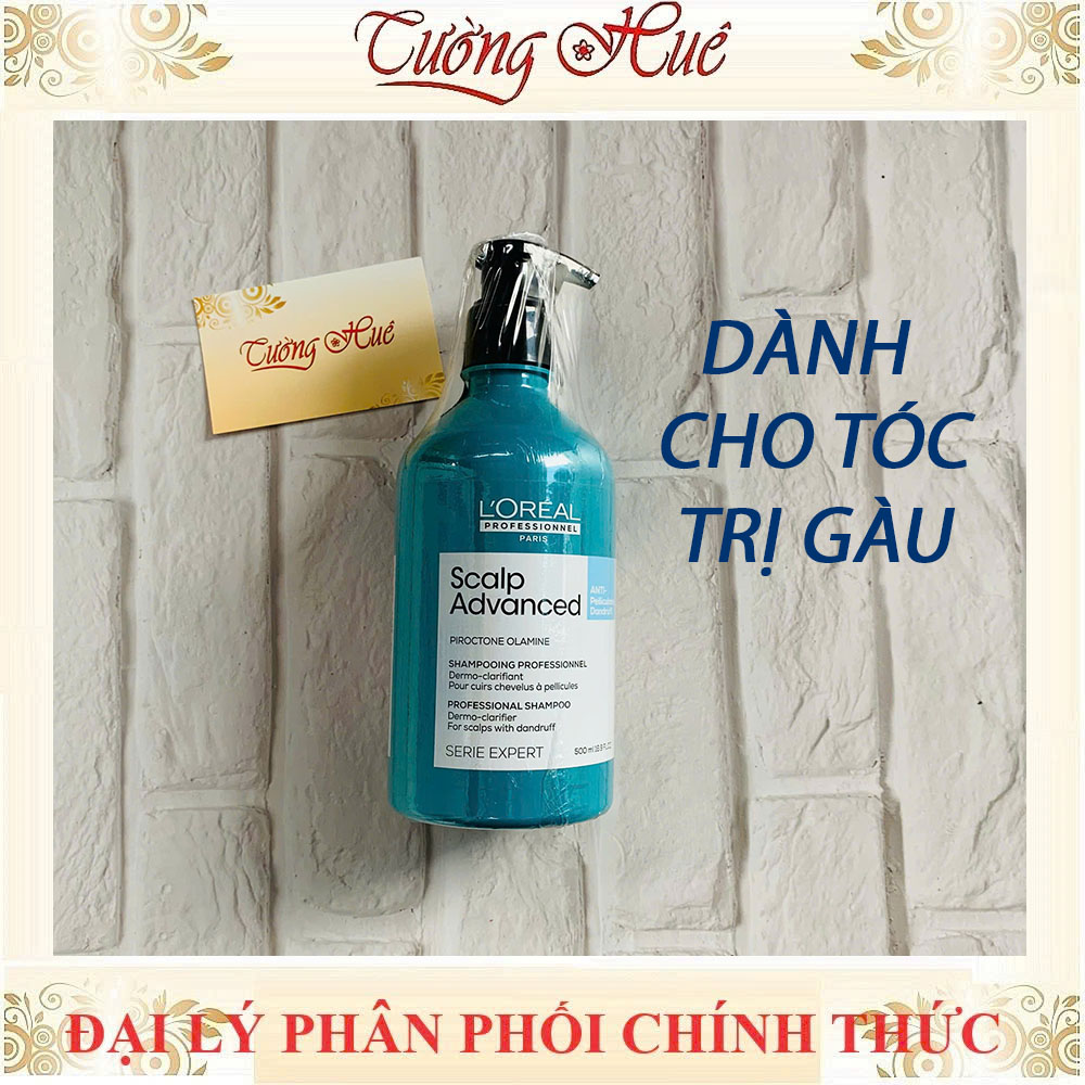 Dầu Gội Loreal Serie Expert Chăm Sóc Tóc Chuyên Sâu Shampoo - 500ml (Có lựa chọn)