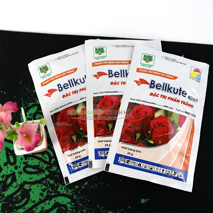 Trừ phấn trắng trên hoa hồng Bellkute 20g