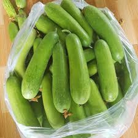 Hạt giống bí đao chanh siêu trái(gói 10 hạt)