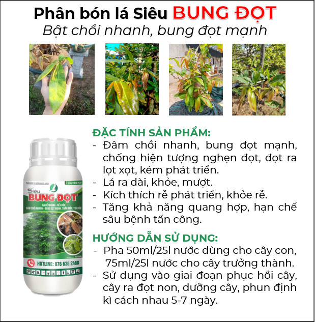 SIÊU BUNG ĐỌT MAI CHAI 500ML (Phân bón kích đọt phát triển, dưỡng rễ, lá xanh dày)