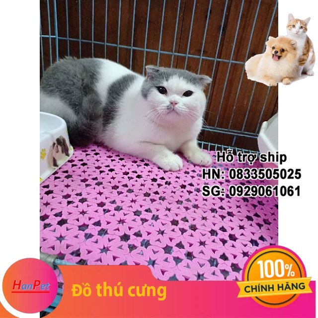 Hanpet - HP- SP 1298 - Tấm ghép nhựa chuồng chó (chống lọt chân) lót chuồng, sàn chó mèo