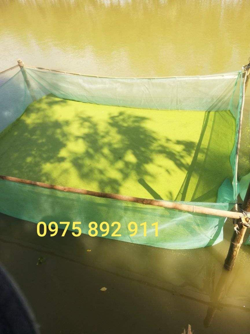 TRÁNG NUÔI CÁ , TRÊ , CHUÔI HOA , ỐC ẾCH