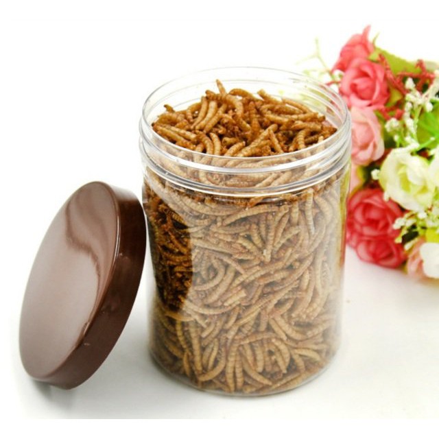 Sâu lớn rang bơ cho Hamster