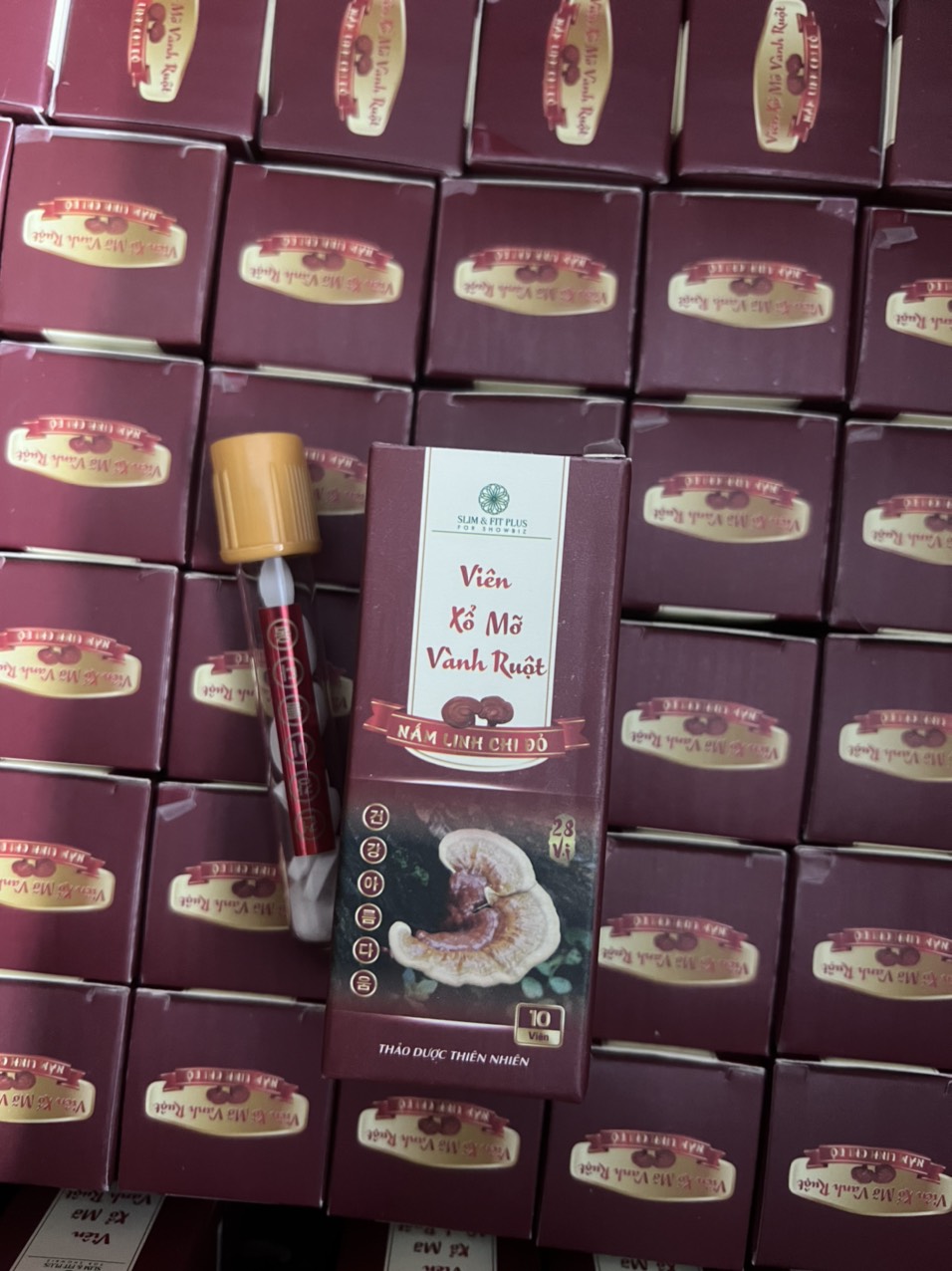 Viên Xổ Mỡ Vành Ruột – linh chi đỏ