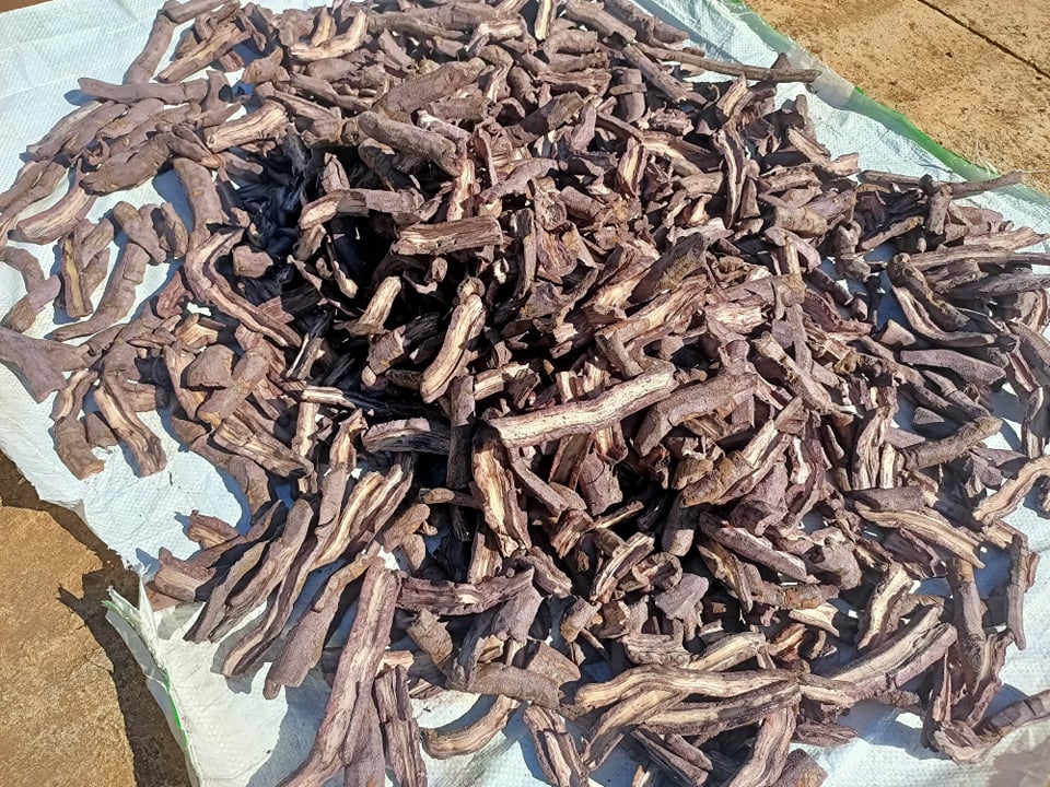 1kg ba kích tím tươi làm sạch