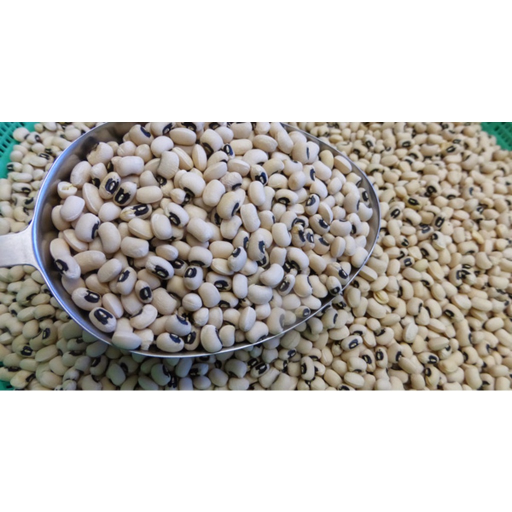 FREESHIP MAX -Đậu trắng( đậu sạch nhà vườn) 1kg- VƯỜN ƯƠM EAKMAT TÂY NGUYÊN