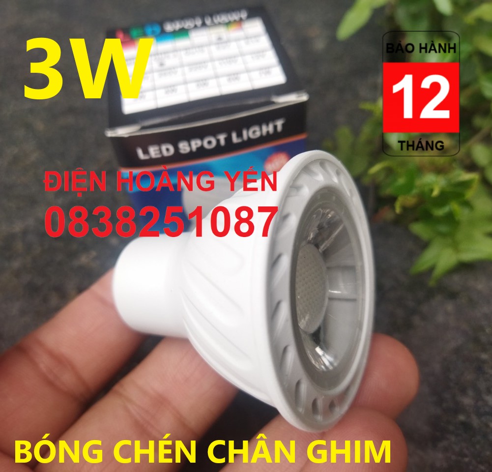 Bóng chén led chân ghim 3W