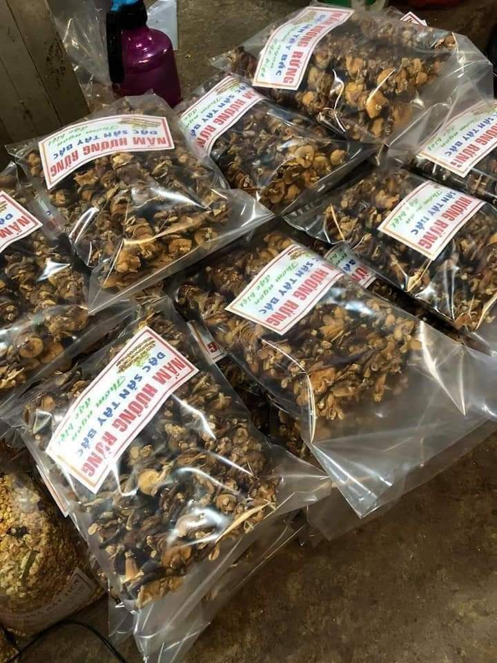 Nấm Hương Rừng 1kg