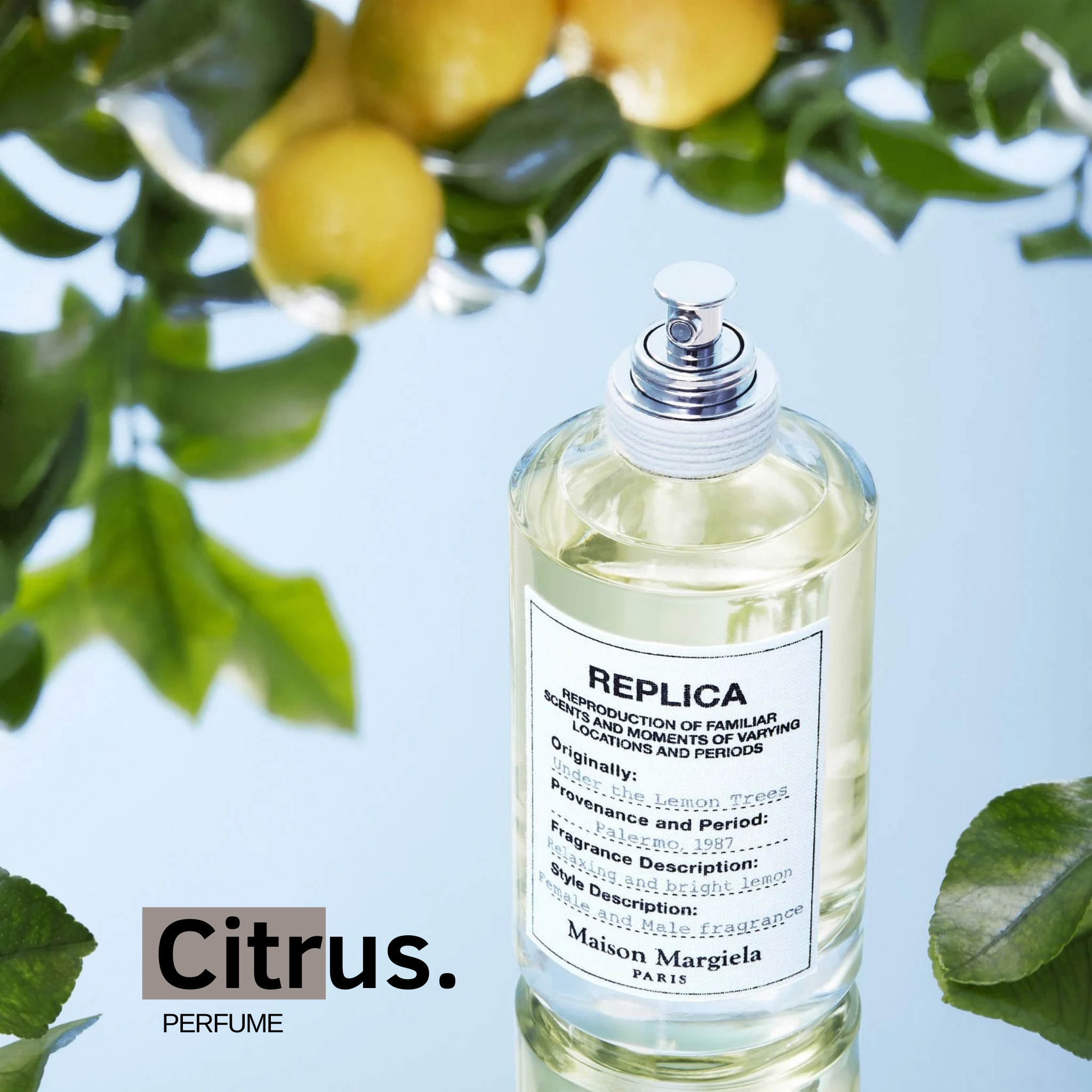 10ml Rep.lica Under the Lemon Tree | Nước hoa unisex | Citrus Perfume