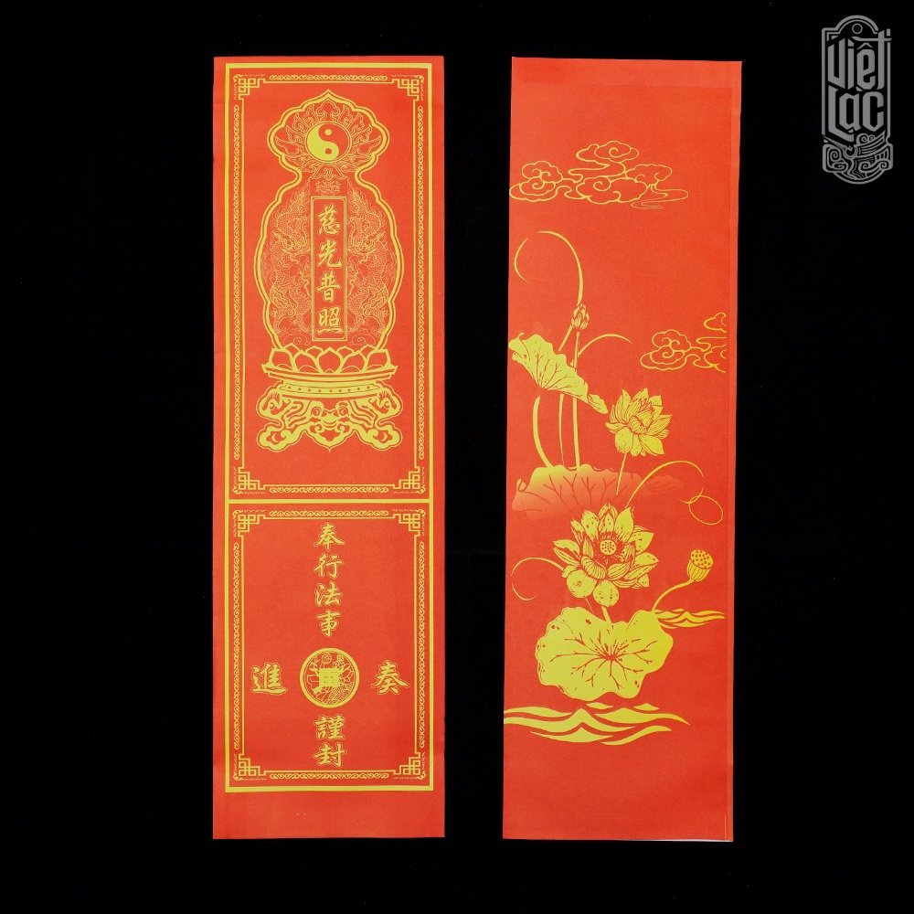 500 Vỏ sớ hoa sen