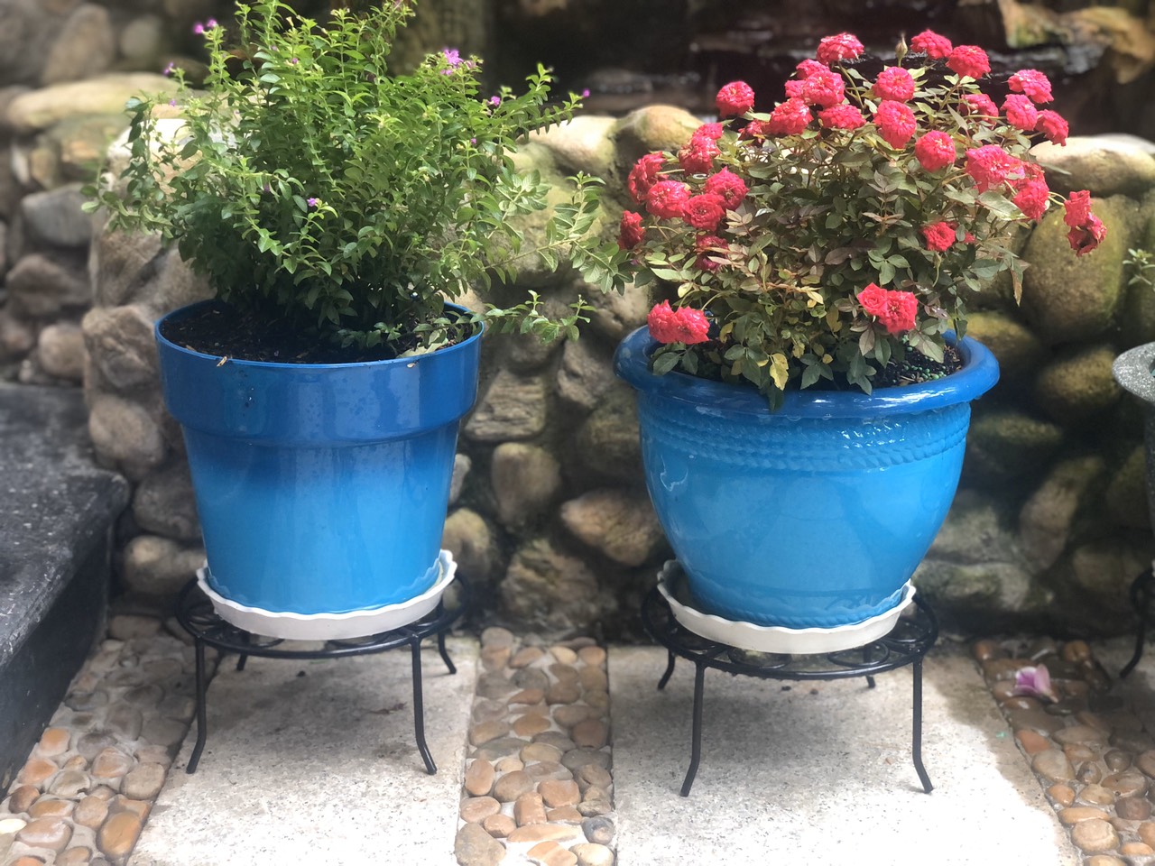 Combo 5 chân đế lùn kê chậu hoa decor sân vườn