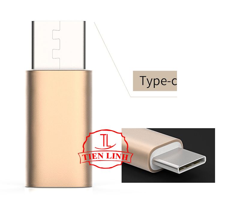 Bộ 2 cái đầu chuyển đổi chân Micro USB (Cái) sang Type C