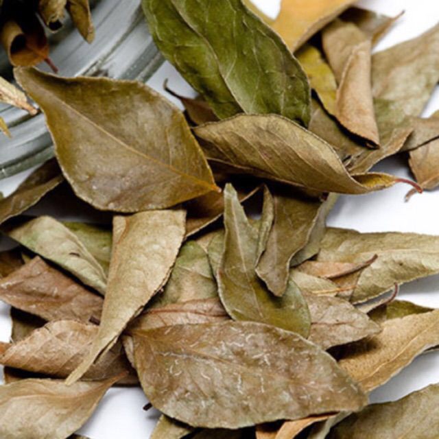 1 kg lá Móc mật khô( lá loại 1 thơm)