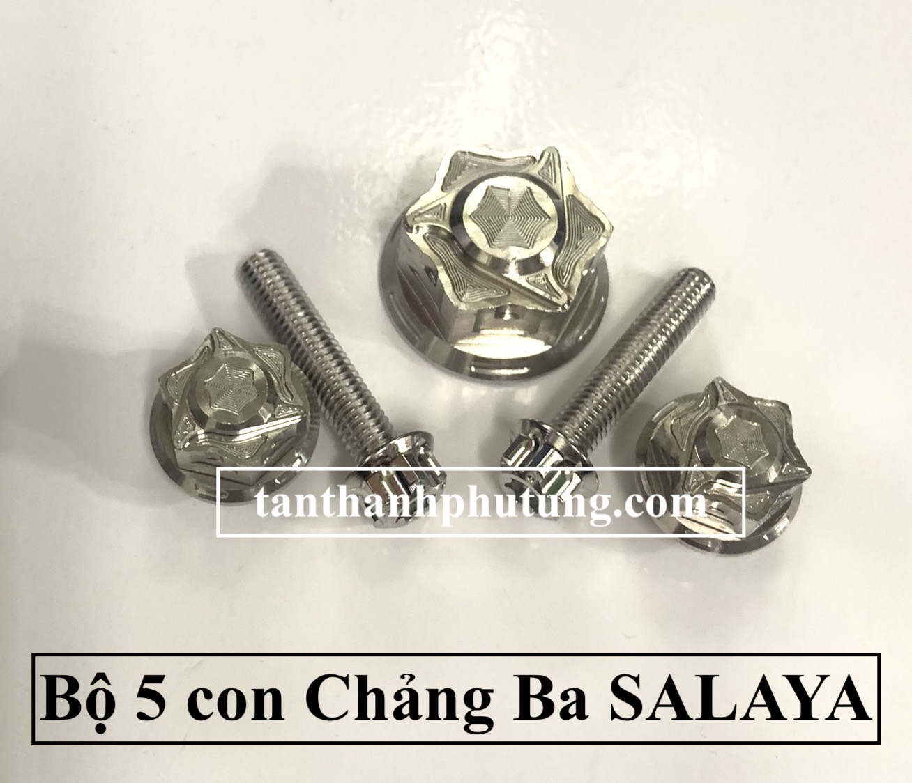 Bộ 5 con SALAYA chảng ba Satria-Raider Fi