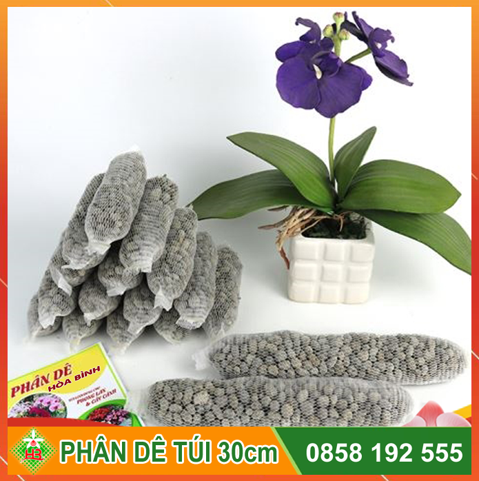 Phân Dê Bón Lan Combo 20 túi 30cm