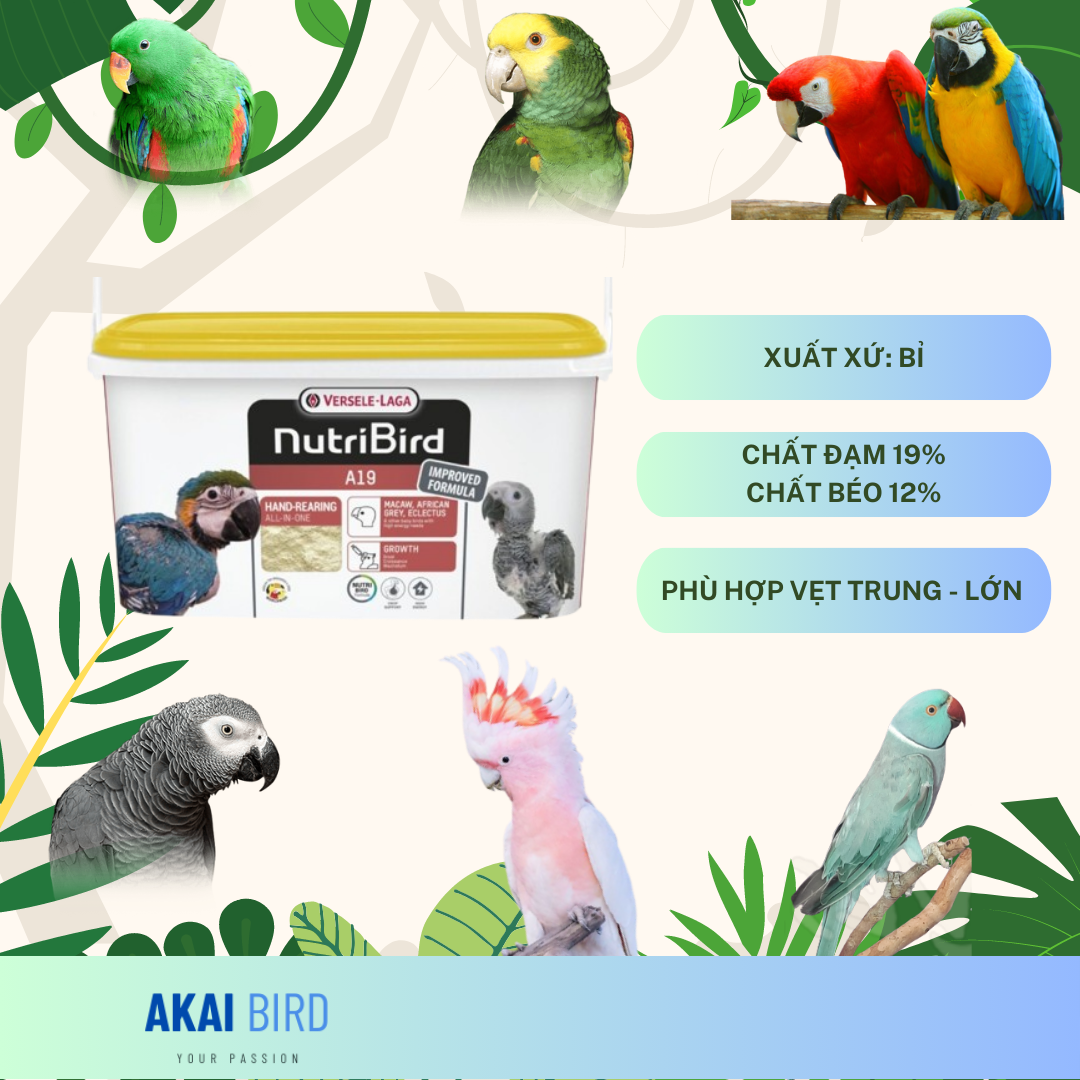 [100Gr] Bột A19 / A21 / Kaytee Dành Cho Vẹt Non...