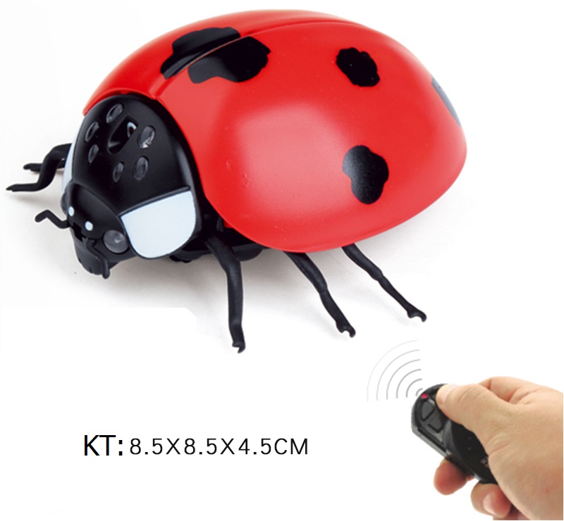 Đồ chơi con bọ có điều khiển
