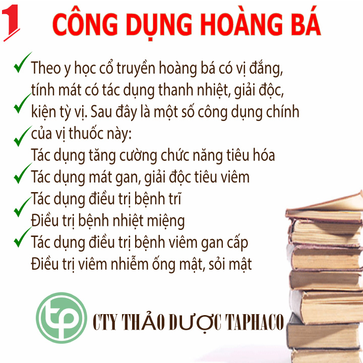 Hoàng bá sấy khô 100g - Tấn Phát