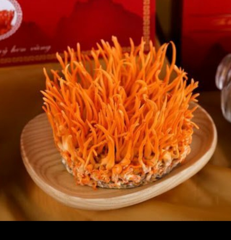 ĐÔNG TRÙNG HẠ THẢO SẤY KHÔ - TÚI 200g