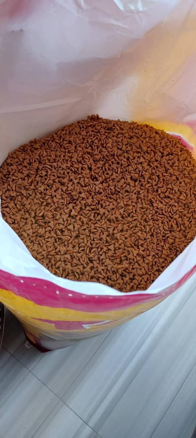 Hạt Cho Mèo Mọi Lứa Tuổi Tommy 500g (Philippines) - Vị Cá Ngừ - [Nông Trại Thú Cưng]